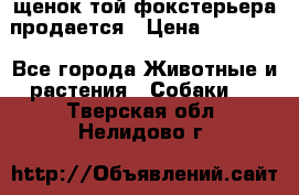 щенок той-фокстерьера продается › Цена ­ 25 000 - Все города Животные и растения » Собаки   . Тверская обл.,Нелидово г.